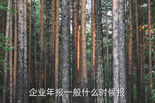 財務年報什么時候報，企業(yè)財務會計報告什么時間出具