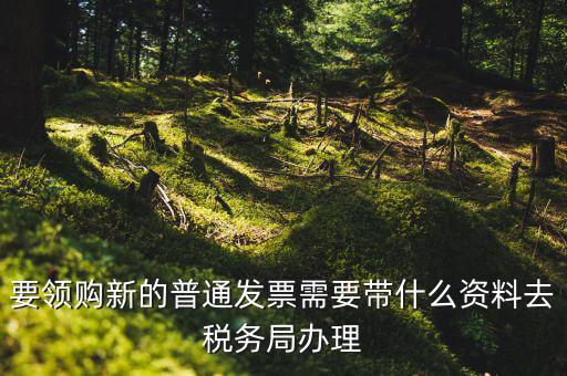 發(fā)票領(lǐng)購(gòu)本需要帶什么，去國(guó)稅局報(bào)稅需要發(fā)票領(lǐng)購(gòu)簿嗎都需要帶什么大神們幫幫忙