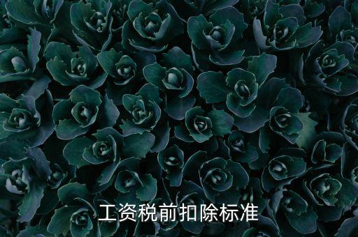 什么是稅前扣除標(biāo)準(zhǔn)，請(qǐng)問(wèn)差旅費(fèi)稅前扣除標(biāo)準(zhǔn)是什么