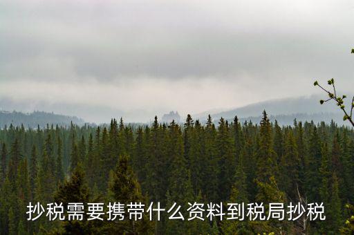 報(bào)稅查什么輔導(dǎo)信息，剛申請為一般納稅人在哪查看是否要經(jīng)過輔導(dǎo)期納稅申報(bào)初始化填5