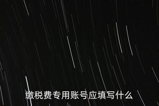 繳稅費專用賬號應(yīng)填寫什么
