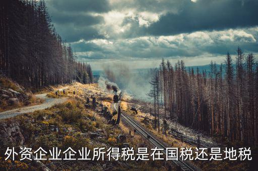 外資企業(yè)交什么稅，涉外企業(yè)應(yīng)繳些什么稅