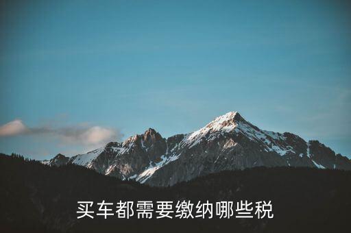 車(chē)輛納稅需要什么意思，車(chē)輛上路需要交什么稅