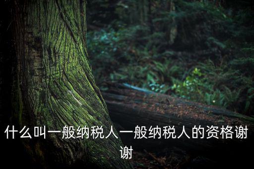 什么是一般納稅人資格證嗎，什么叫一般納稅人一般納稅人的資格謝謝