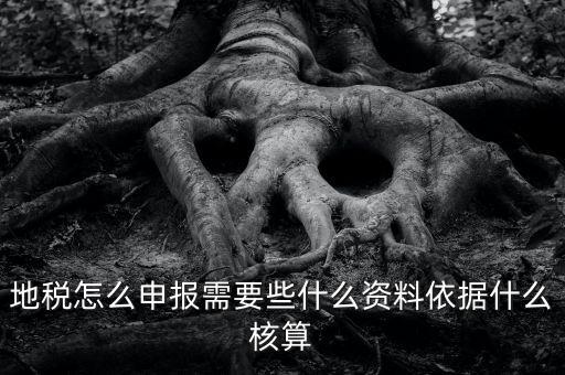 地稅根據(jù)什么申報，地稅怎么申報