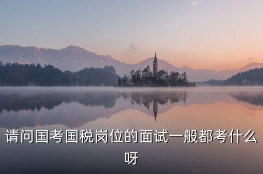 國稅標(biāo)兵人才考什么，國稅通用能力測試考什么