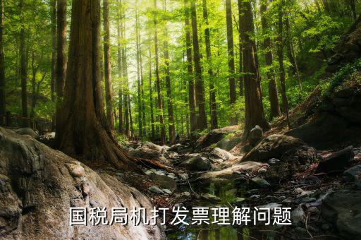 機打票是什么問題，個體工商戶開機打票的問題