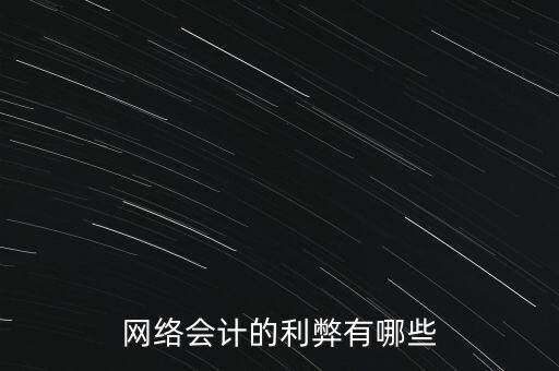 網絡會計的利弊有哪些