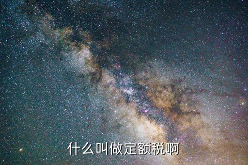 定額定稅是什么意思，什么叫做定額稅啊