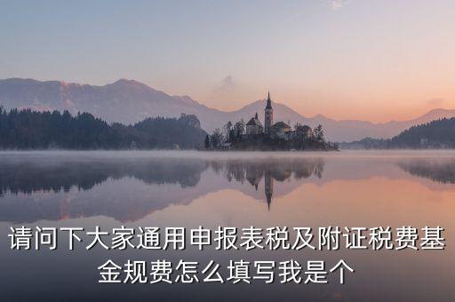 通用申報(bào)基金規(guī)費(fèi)包括什么，請(qǐng)問下大家通用申報(bào)表稅及附證稅費(fèi)基金規(guī)費(fèi)怎么填寫我是個(gè)