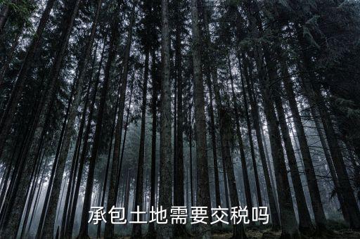 土地承包費征什么稅，我公司承包一農(nóng)民的土地承包期限至該農(nóng)民包地期限為止請問我公