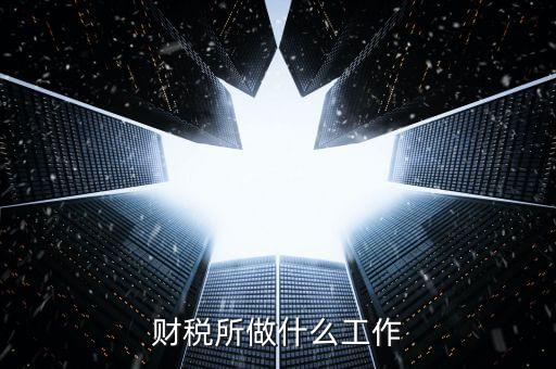 財稅所做什么工作
