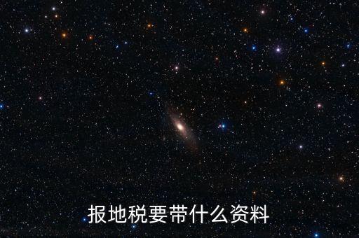 報(bào)地稅要帶什么資料