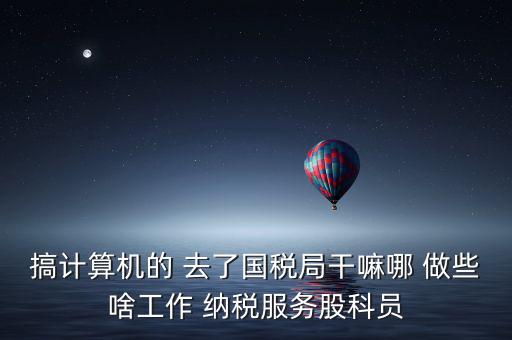 納服科是什么，搞計算機的 去了國稅局干嘛哪 做些啥工作 納稅服務股科員