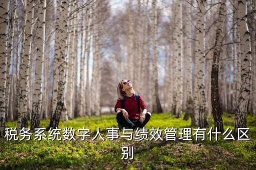 數(shù)字人事評(píng)是什么，稅務(wù)系統(tǒng)數(shù)字人事與績(jī)效管理有什么區(qū)別