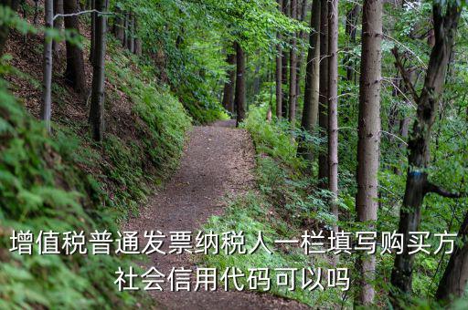增值稅普通發(fā)票納稅人一欄填寫(xiě)購(gòu)買(mǎi)方社會(huì)信用代碼可以嗎