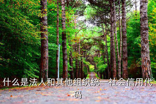 機(jī)關(guān)有社會(huì)信用代碼是什么意思，社會(huì)信用代碼與機(jī)構(gòu)信用代碼有什么不同