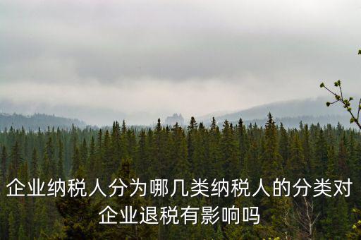 什么A級B級信用納稅人，A級增值稅一般納稅人C級增值稅一般納稅