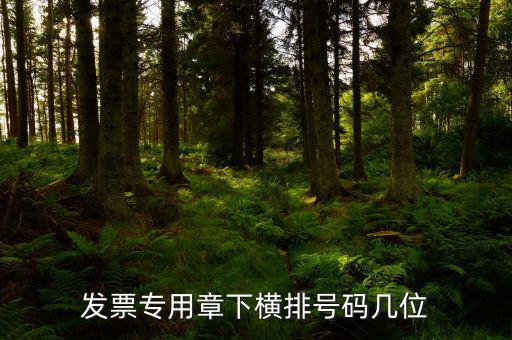 發(fā)票專用章的號碼是什么，發(fā)票專用章和公章上的號碼是一樣的不都是執(zhí)業(yè)許可證號