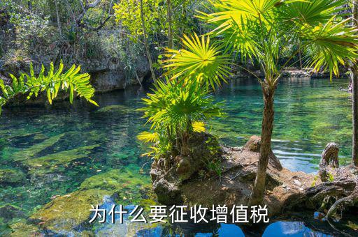 境外勞務(wù)為什么要交增值稅，為什么要交增值稅