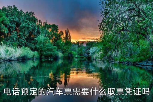電話取票需要帶什么資料，電話預定的汽車票需要什么取票憑證嗎