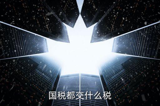 國(guó)稅稅款是什么，國(guó)稅都交什么稅