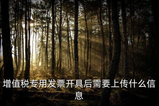 增值稅專用發(fā)票開(kāi)具后需要上傳什么信息