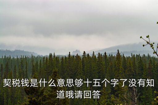 契稅錢是什么意思夠十五個(gè)字了沒有知道哦請回答