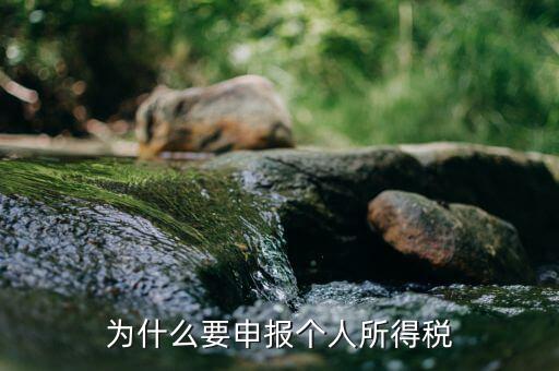 為什么要申報(bào)個人所得稅
