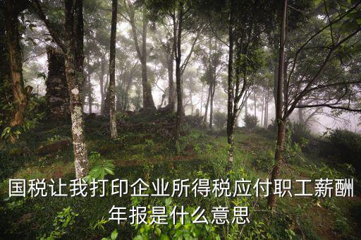 所得稅年報是什么意思，企業(yè)所得稅年報是什么意思怎么報去年4個季度都報了呀我是