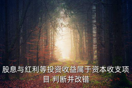 股息紅利等投資收益屬于什么，股息與紅利等投資收益屬于資本收支項目 判斷并改錯