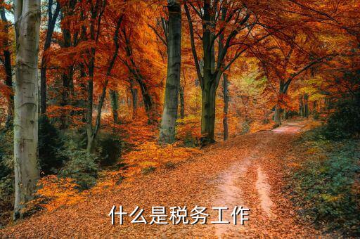 什么是稅務(wù)人員，稅務(wù)專員是一種什么工作和會計(jì)有什么不同和會計(jì)一樣也分從