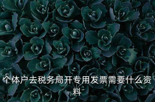 個體戶開專票需要什么，個體在國稅局開增值稅專用發(fā)票需要什么資料