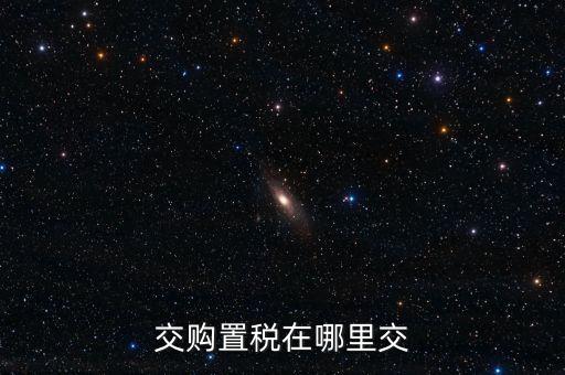 交購(gòu)置稅在哪里交