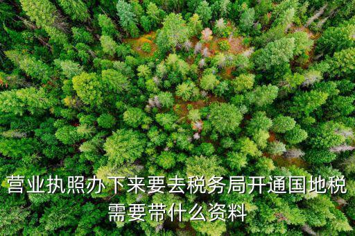有了營(yíng)業(yè)執(zhí)照要帶什么去辦稅，拿到營(yíng)業(yè)執(zhí)照銀行開戶后去辦稅帶什么證件