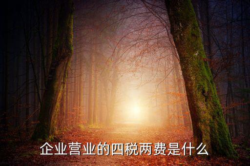 國稅的兩費是什么，什么是一稅兩費申報