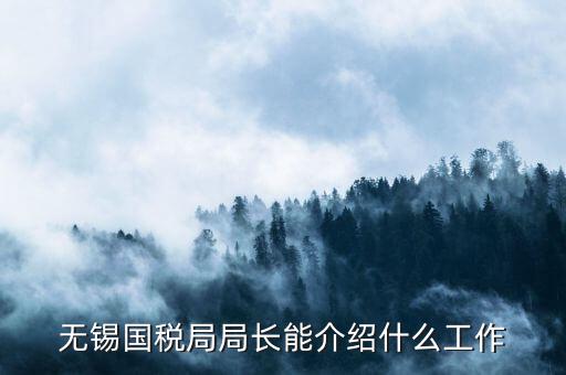 無錫地稅局長接待日是什么，無錫國稅局局長能介紹什么工作