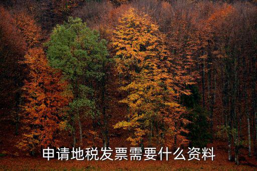 地稅局開票需要帶什么，申請(qǐng)地稅發(fā)票需要什么資料