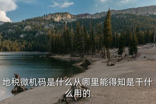 地稅登入碼是什么，地稅管理碼與稅號是同一個(gè)嗎我想知道稅務(wù)登記證上的稅字XXXXX