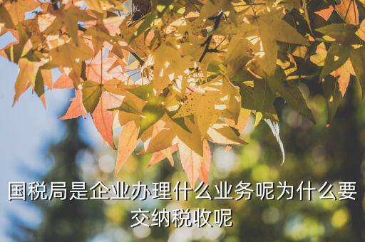 國稅局辦理什么業(yè)務，國稅局是企業(yè)辦理什么業(yè)務呢為什么要交納稅收呢