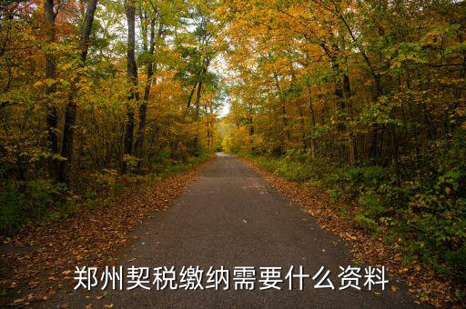 鄭州報稅用什么資料，鄭州國稅網(wǎng)上申報問題