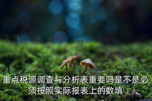 重點稅源分析分析什么，重點稅源的介紹