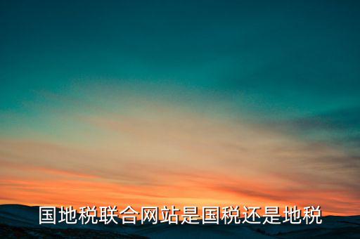 國(guó)地稅聯(lián)合辦稅是什么意思，國(guó)地稅聯(lián)合稅費(fèi)申報(bào)什么意思