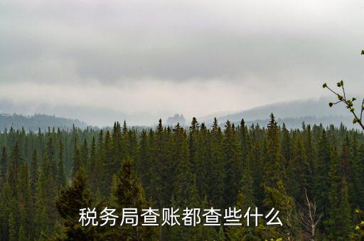 稅務局查稅一般查什么，請問一下老師一般稅務局人來查帳一般查什么的
