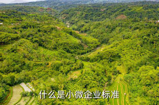小型微利企業(yè)標(biāo)準(zhǔn)是什么，微小型企業(yè)的標(biāo)準(zhǔn)是什么