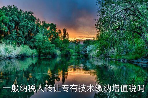 一般納稅人轉讓專有技術繳納增值稅嗎