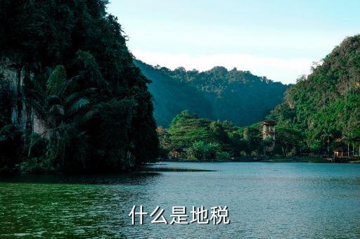 什么是地方稅費(fèi)，地稅稅費(fèi)什么意思