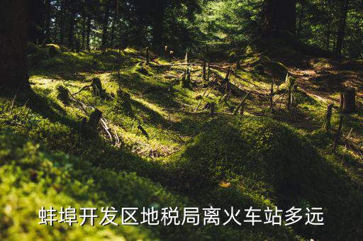 蚌埠開發(fā)區(qū)地稅局離火車站多遠