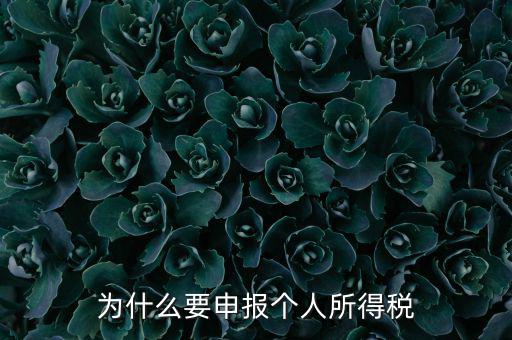 為什么要申報納稅，為什么公司老是要申報稅