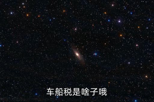 保險的車船稅是什么，車船稅是啥子哦